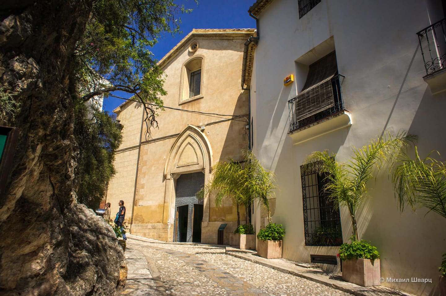 Church of Our Lady of the Assumption