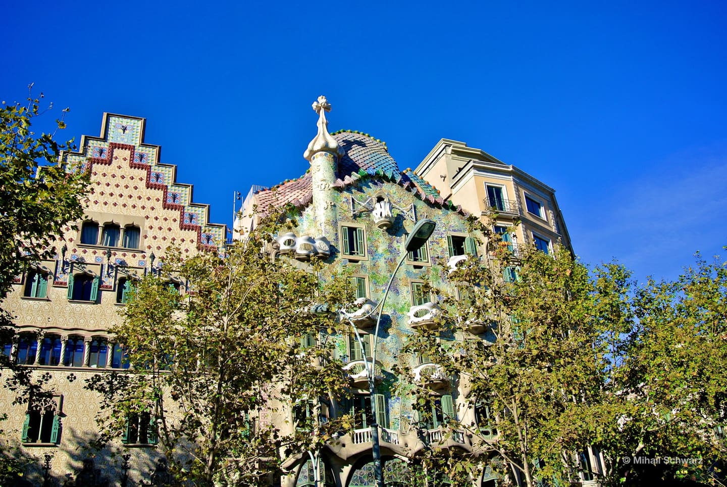 House of Bones