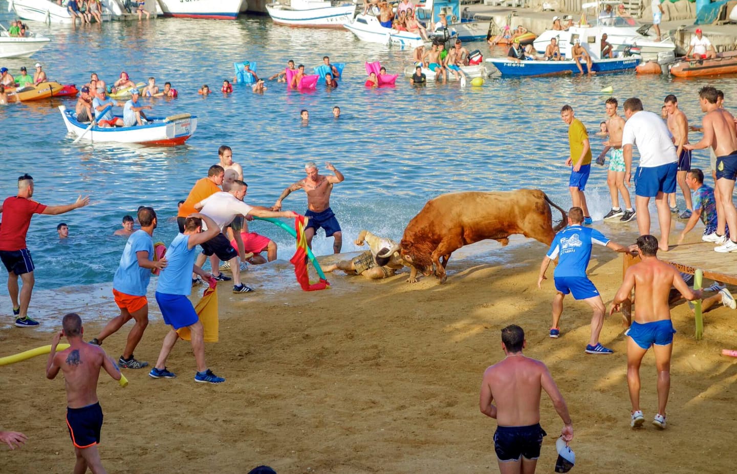 Bulls and the sea